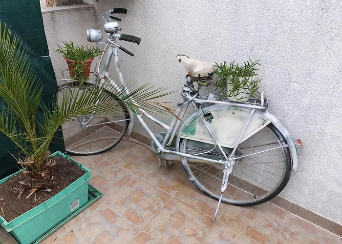 Guest house Roki & Diva