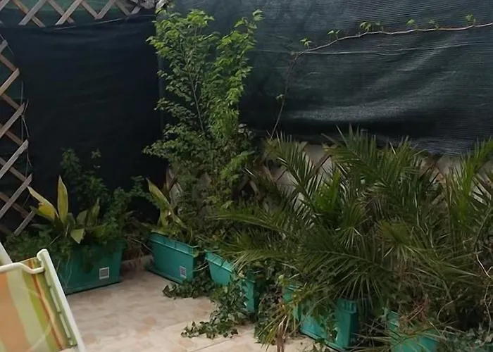 Roki & Diva Gasthof 2*