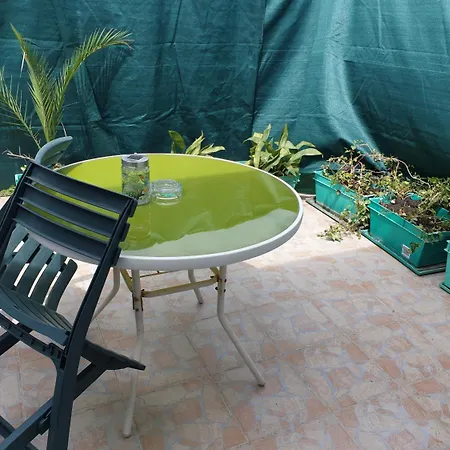 Roki & Diva (adults Only) Задар