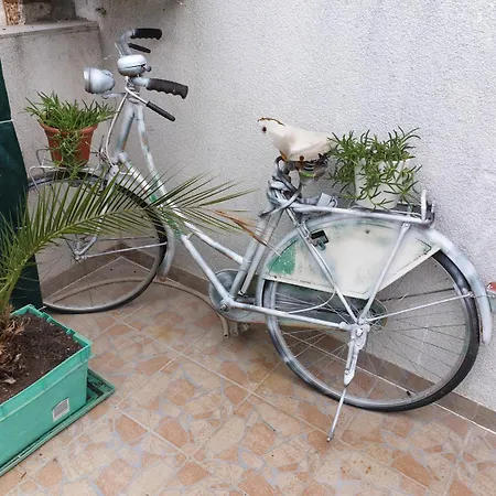 Roki & Diva (adults Only) Гостевой дом 2*