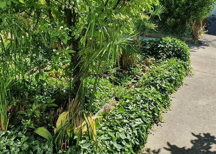 Roki & Diva (adults Only) 2*